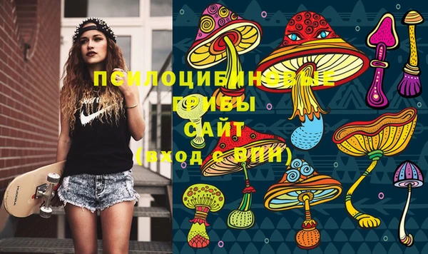 соль ск Вяземский