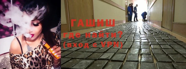 гашик Ельня