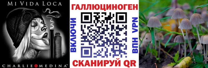kraken сайт  Дегтярск  Галлюциногенные грибы Magic Shrooms  купить закладку 